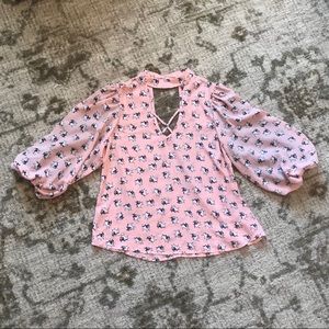 Frenchie Puppy blouse